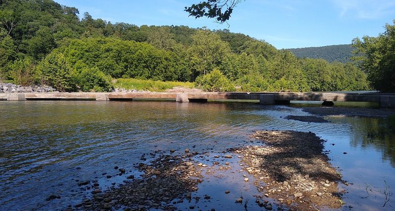 Picnicking with a View Worth Savoring