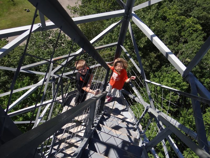 The 100-Foot Fire Tower View