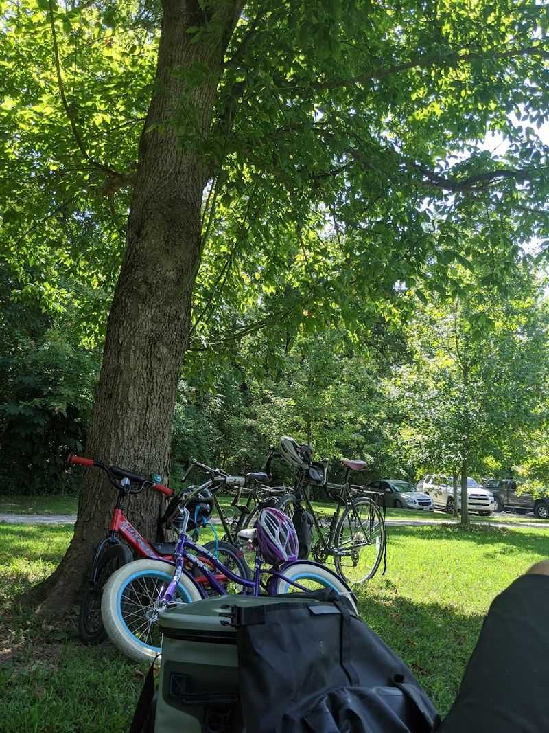 The McBaine Bur Oak Is a Living Landmark