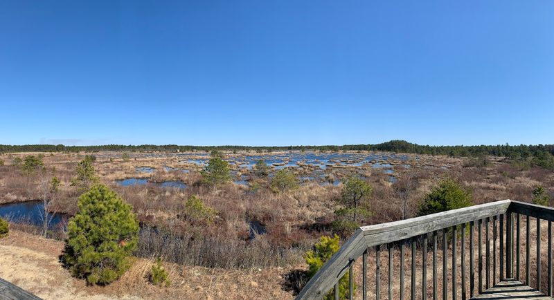 Observation Platforms: The Best Views in the Pine Barrens