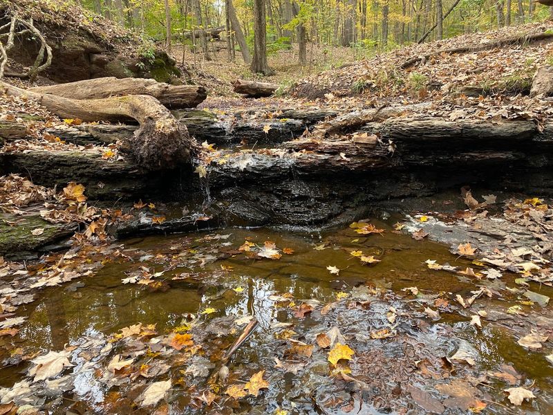 The History of Camp Kilmer: From Military Staging Ground to Living Ecosystem The History of Camp Kilmer: From Military Staging Ground to Living Ecosystem