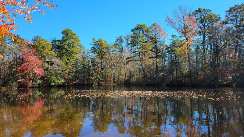Kayaking and Canoeing Adventures on Calm Waters
