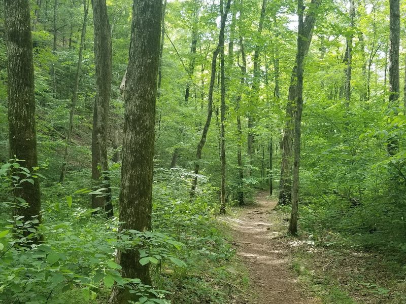 Seasonal Events and Year-Round Reasons to Keep Coming Back