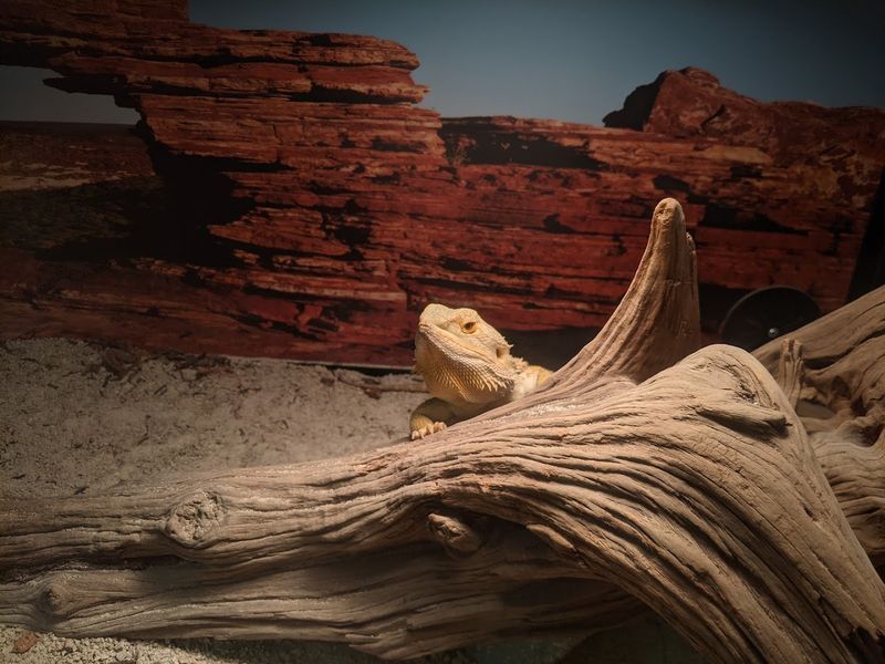 Educational Programs That Make Nature Click