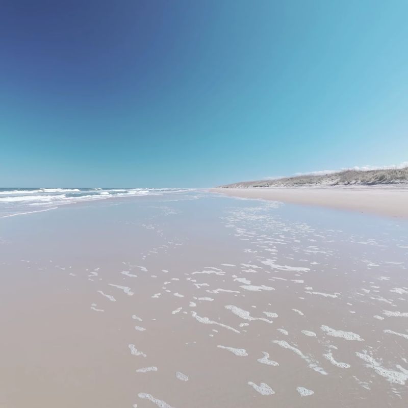 Primitive Camping Under a Sky Full of Stars