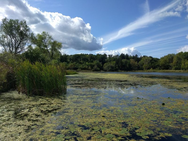 Family-Friendly Trail Features: Why Kids Actually Love This Hike