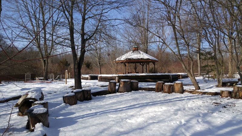 Winter and Cross-Country Skiing in the Park