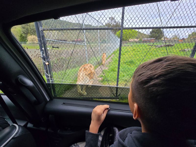 Planning Your Visit: Tips for Getting the Most Out of the Day