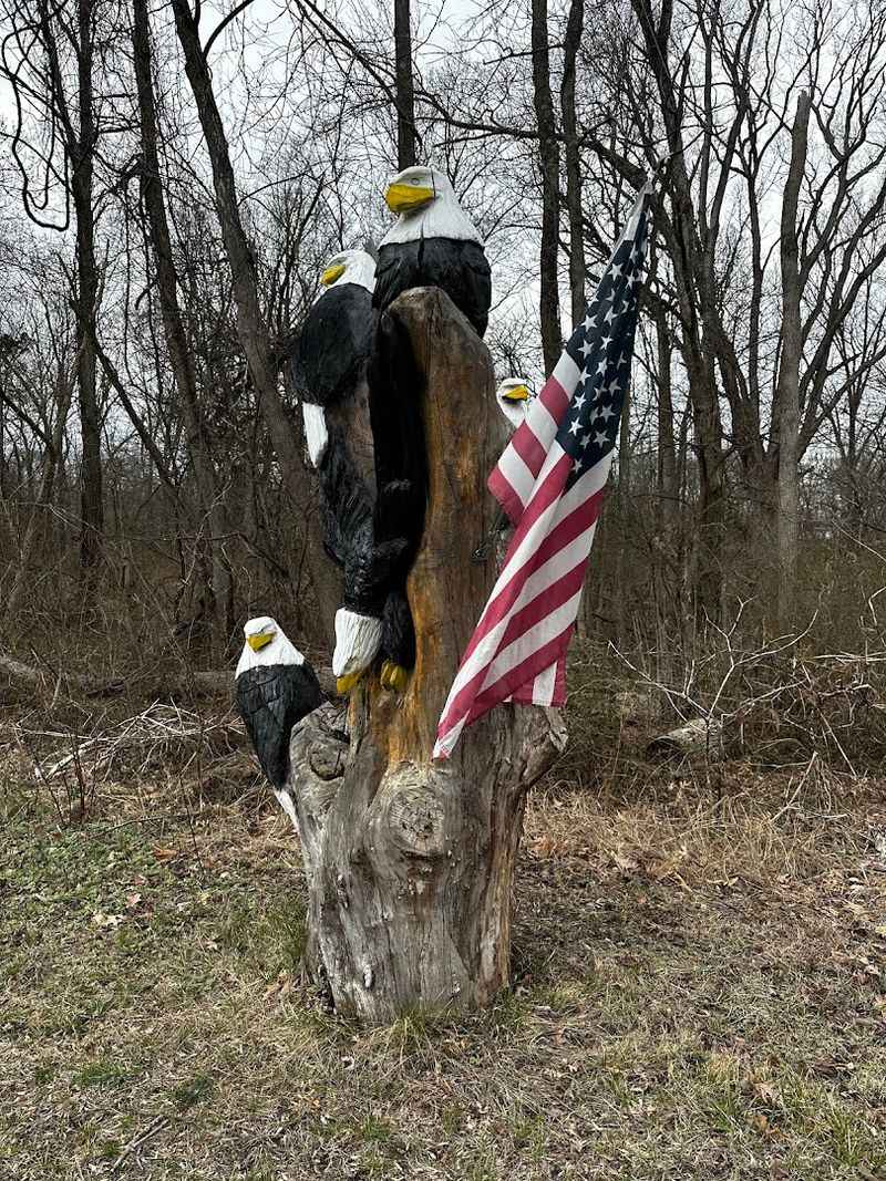 Why Fallen Trees Deserve a Second Life