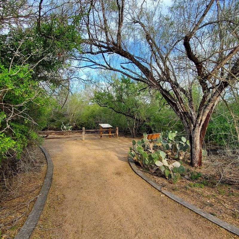 Free Admission Makes It One of the Best Deals in South Texas