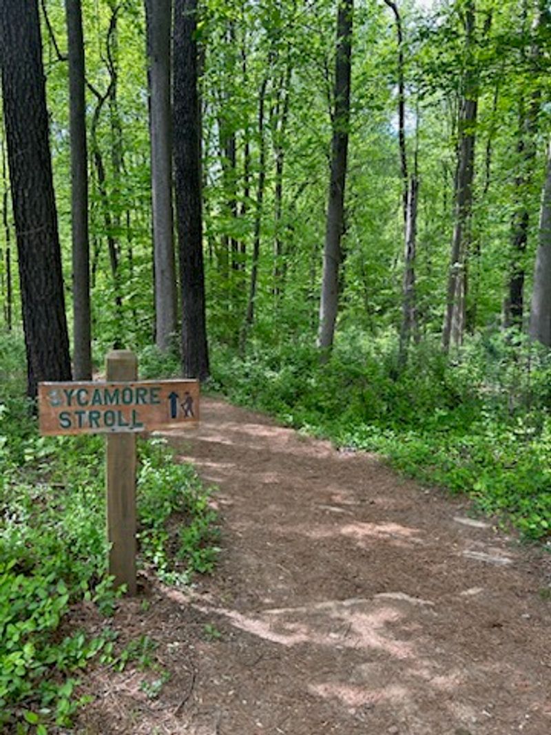 How the Trail Connects to the Larger Columbia Pathway Network