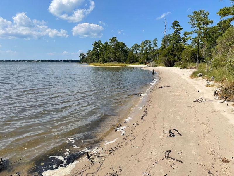 The Chesapeake Bay Swimming Beach