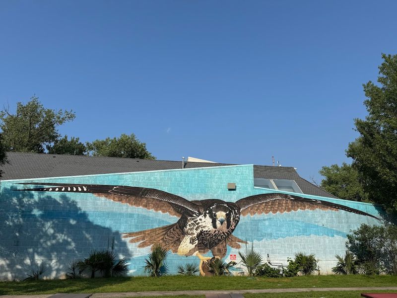 The Environmental Discovery Center