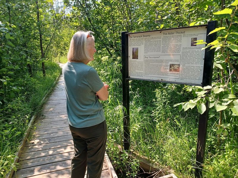 Interpretive Signs That Actually Teach You Something