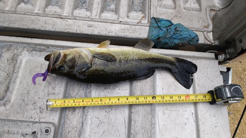 Fishing the Ponds Without the Noise and Crowd