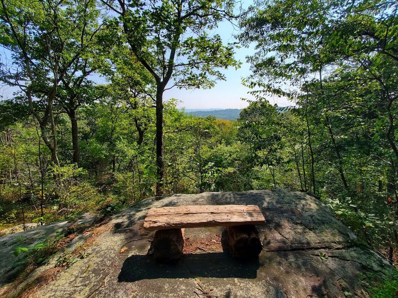 Planning Your Visit: Practical Tips for Getting the Most Out of Silas Condict