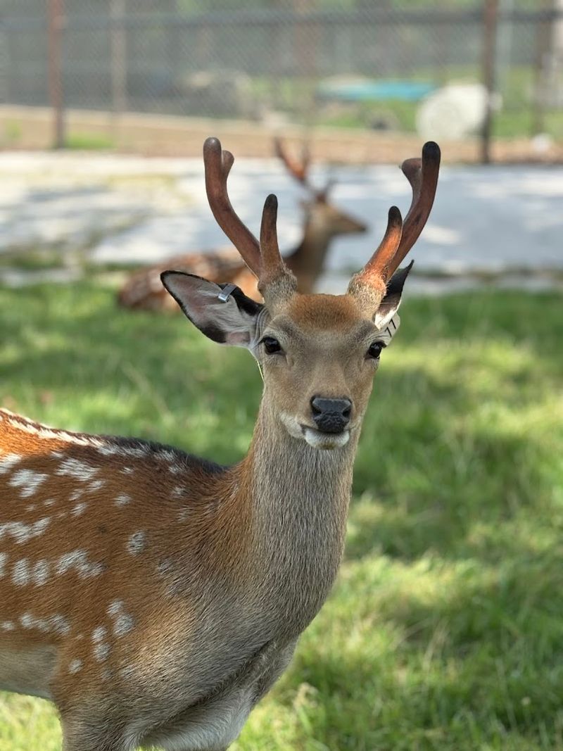 Practical Tips for Planning Your Visit