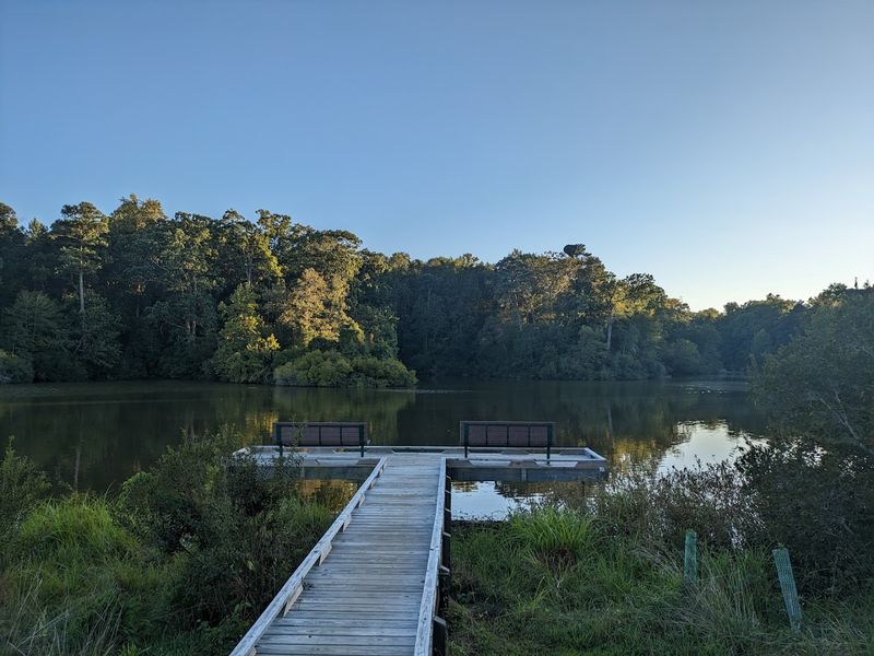 Fishing on the York River: A Surprisingly Rewarding Afternoon