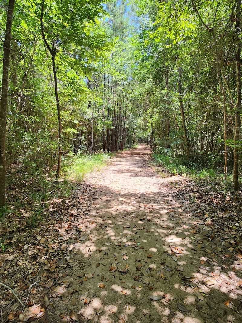 Getting There and Planning Your Visit to Martin Dies, Jr. State Park