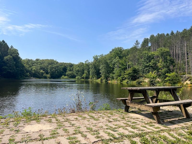 Picnic Facilities That Make Lingering Easy