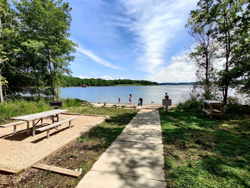 Plan Your Visit: Getting There, What to Bring, and Why You Should Go Now