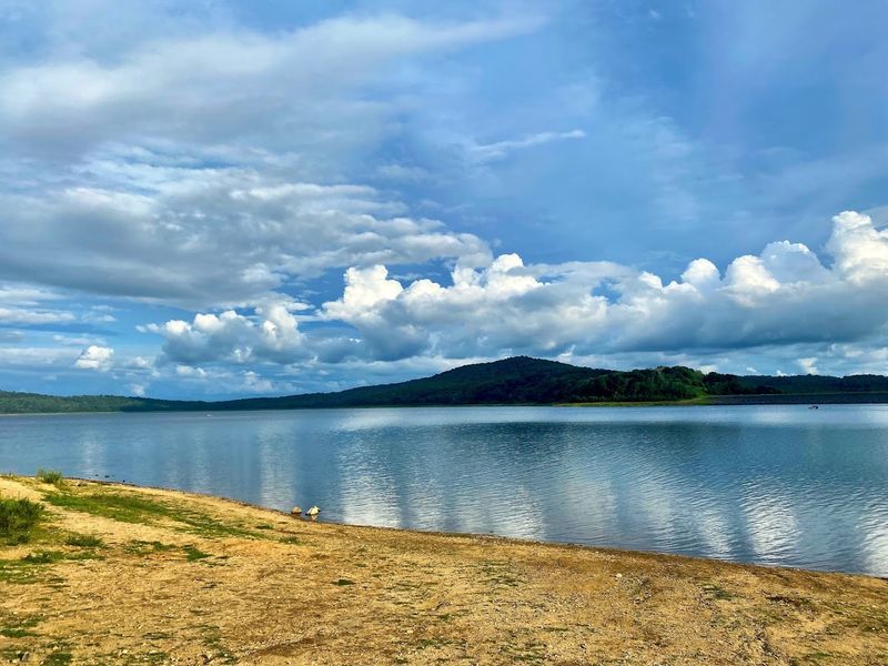 Picnic Spots and Peaceful Afternoons That Recharge Everything