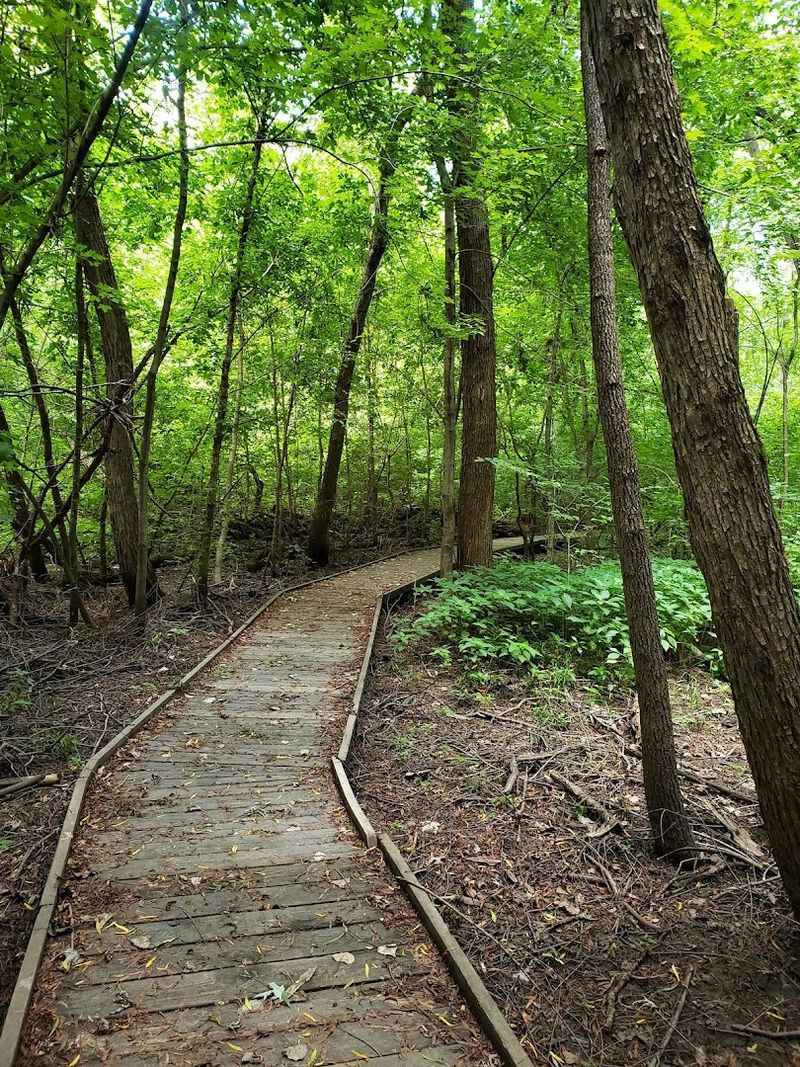 The Best Time to Visit and What to Expect