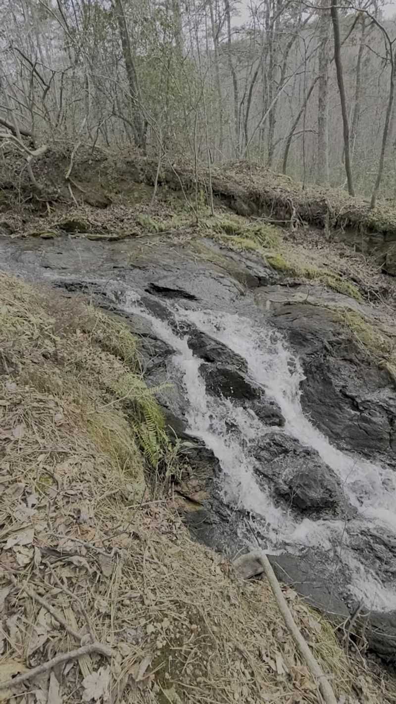 Hiking Trails That Challenge Every Fitness Level