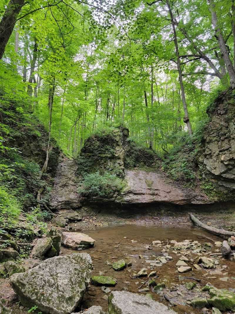 Scenic Trails That Range From Easy Walks To Full-Day Adventures