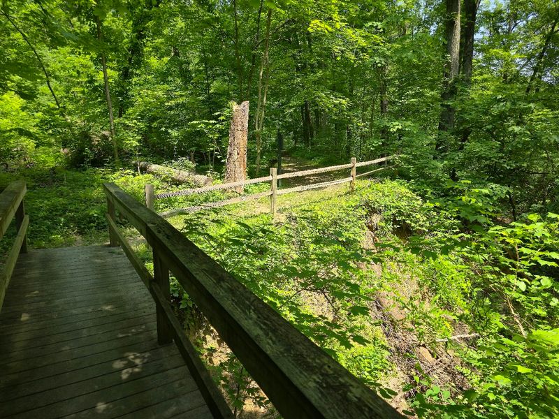 An Easy Loop That Works for Almost Every Fitness Level