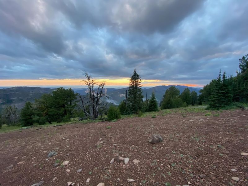 Stargazing and Night Skies at the Campground
