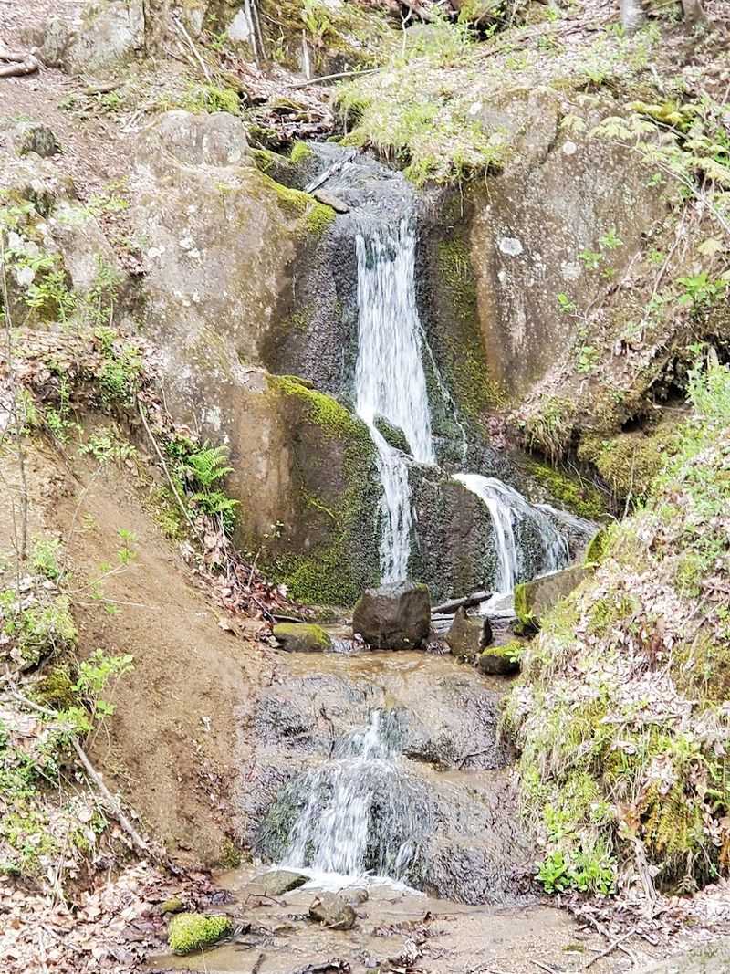 The Secret Waterfall That Rewards Patient Hikers