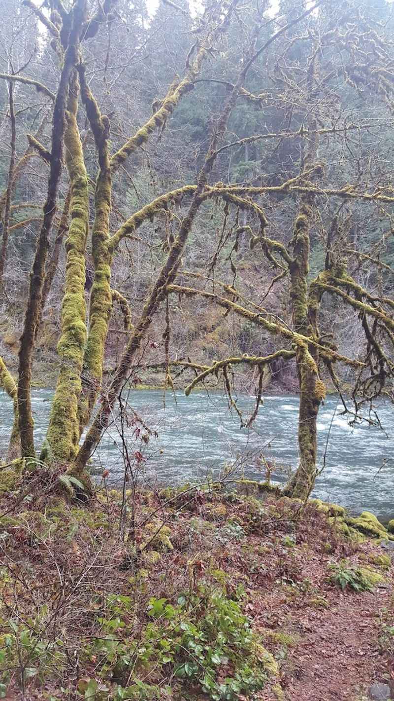 Trail Conditions and What to Check Before You Go