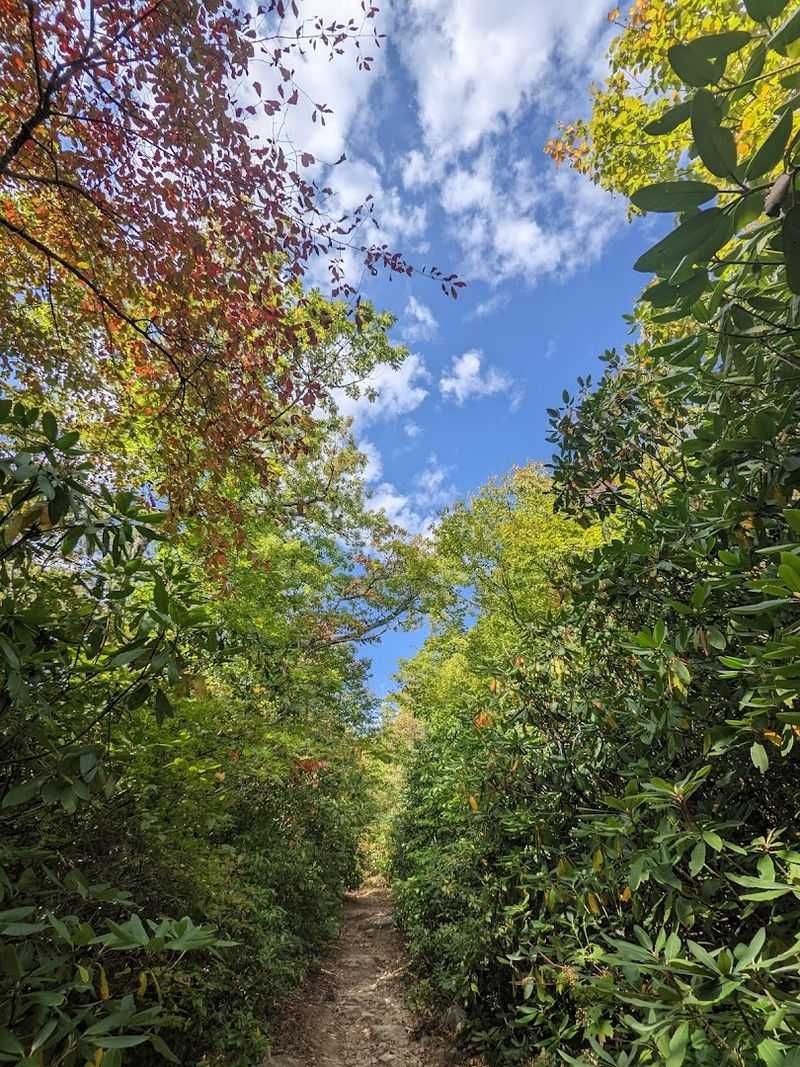 Best Time of Year to Visit