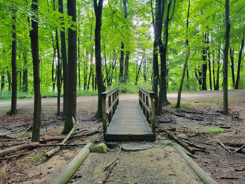 Trail Options for Every Skill Level