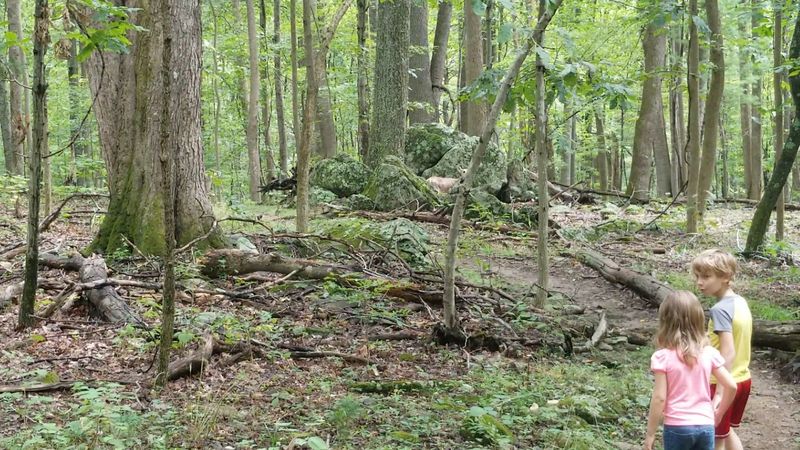 A Historic Cemetery Hidden Along the Blue Trail