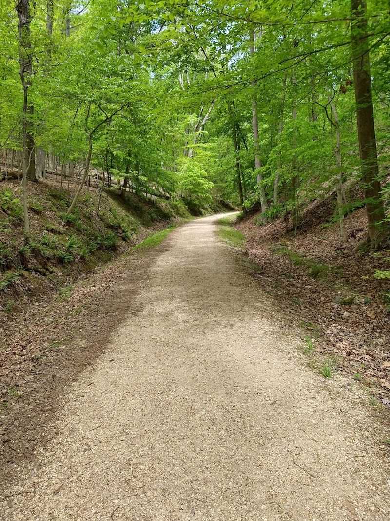 Planning Your Visit: Practical Tips That Actually Help