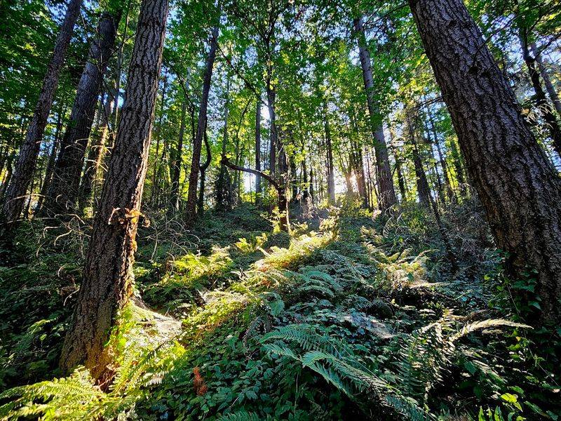 Planning Your Visit: What to Know Before You Go