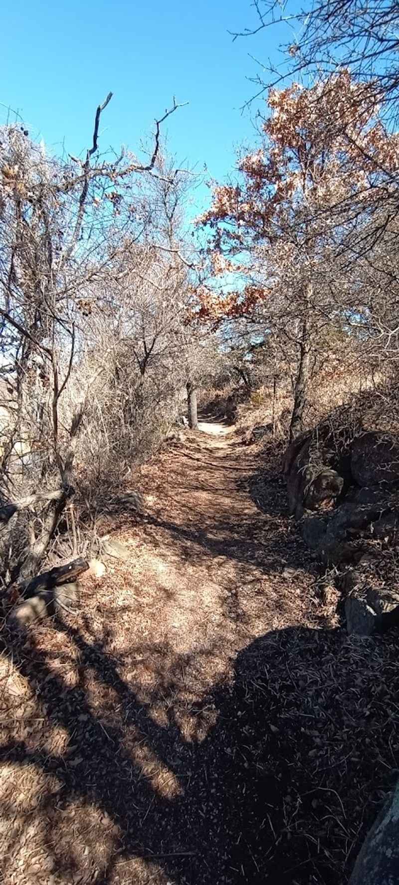 Navigating the Trails Takes Attention and a Bit of Strategy