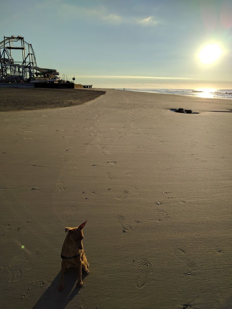 North Wildwood Dog Beach