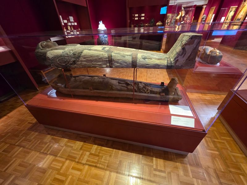 Mabee-Gerrer Museum of Art Brings Unexpected Variety