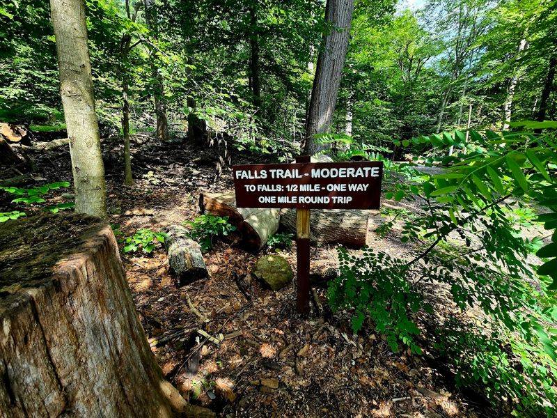 Practical Tips for Planning Your Visit to Cunningham Falls