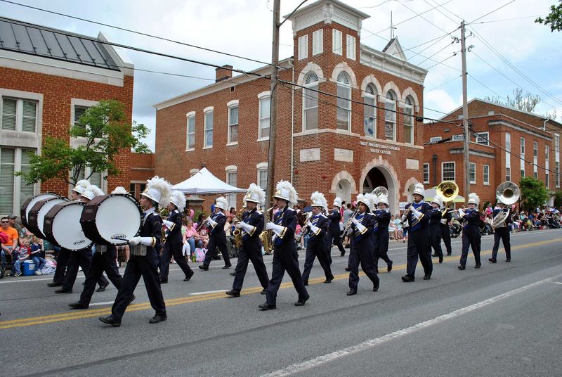 Apple Orchard Heritage: The Roots Behind The Bloom