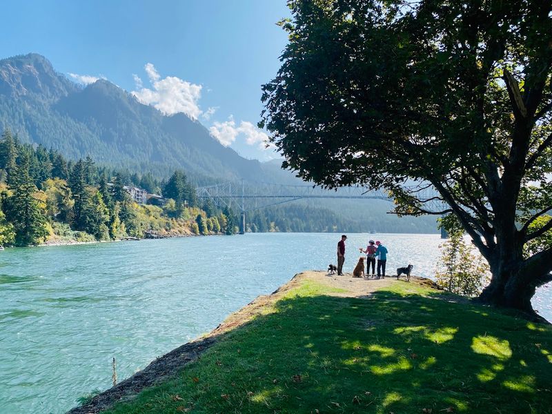 A Perfect Spot For A Picnic
