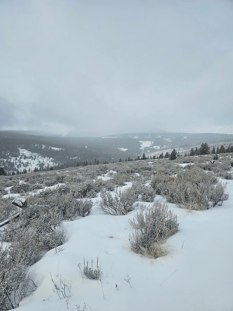 See The Pintlers And The Selway Bitterroot Wilderness