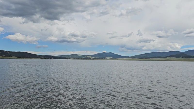 Kokanee Salmon Swimming Above Old Foundations