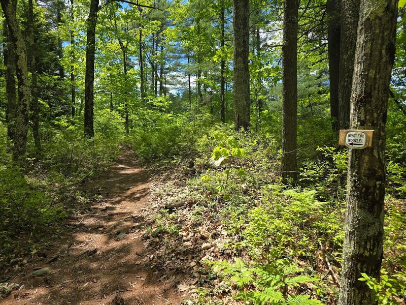 The Terrain Is Easy Enough for Tiny Hikers But Still Feels Like a Real Adventure