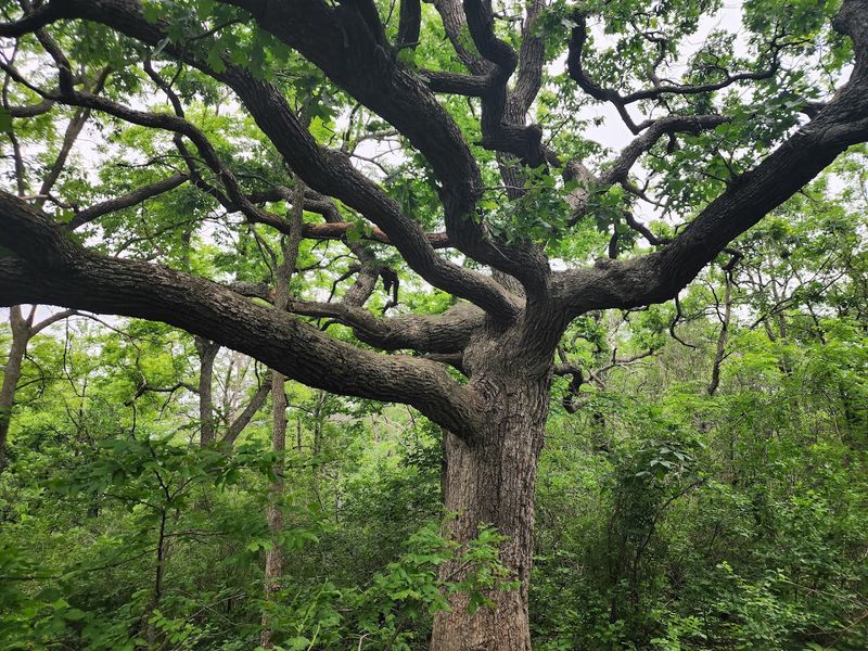 Three Distinct Micro-Climate Zones to Explore