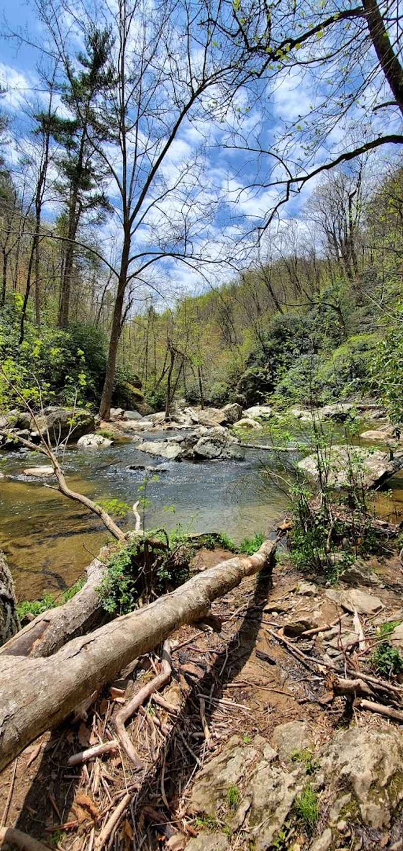 The Creek Bank Experience That Beats Every Overlook
