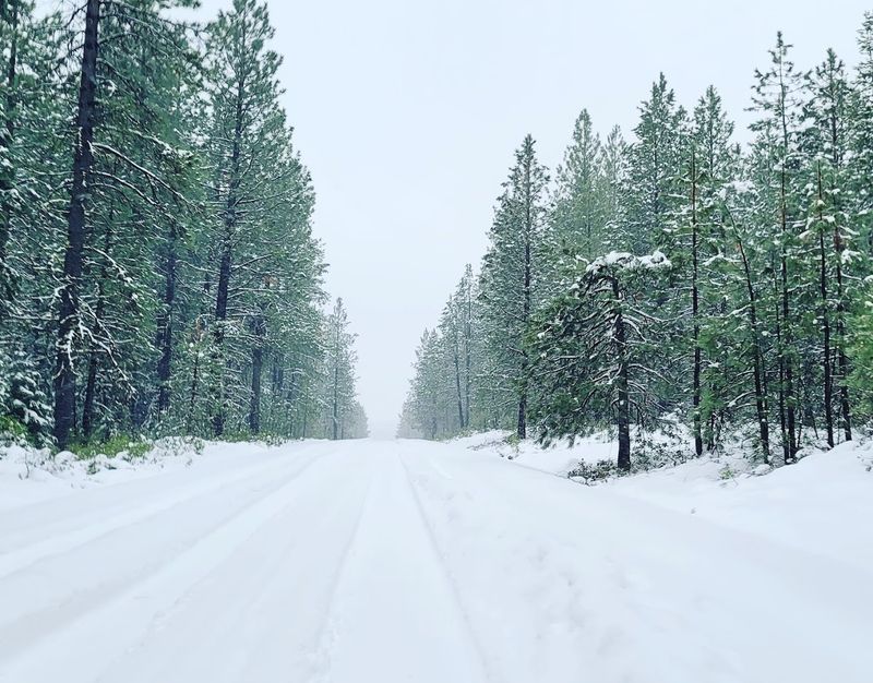 Southern Cascades See the Deepest Totals